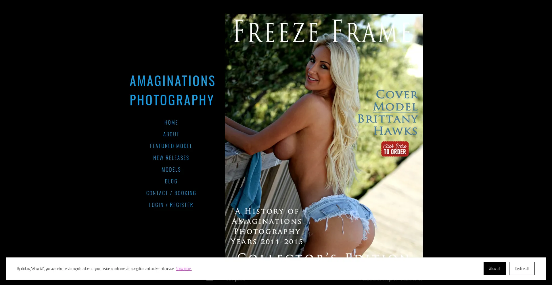 Website screenshot of Amaginations.com