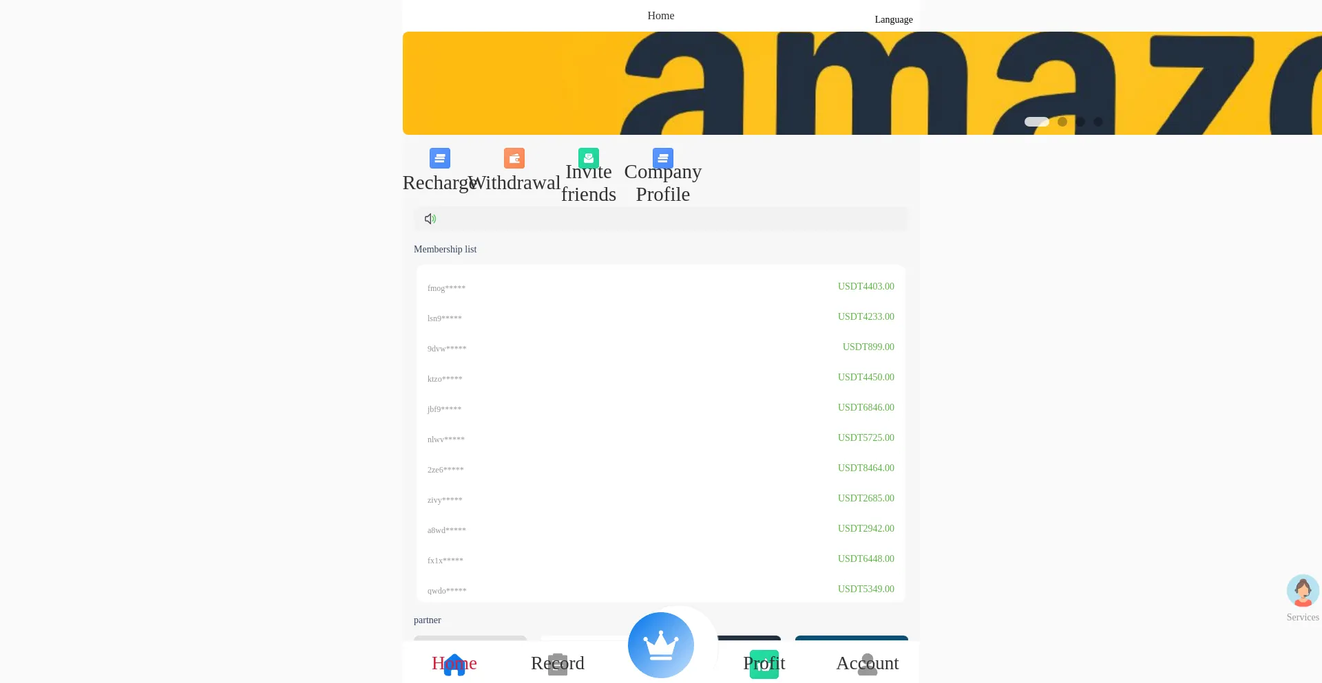 Website screenshot of Amaizonlix.com