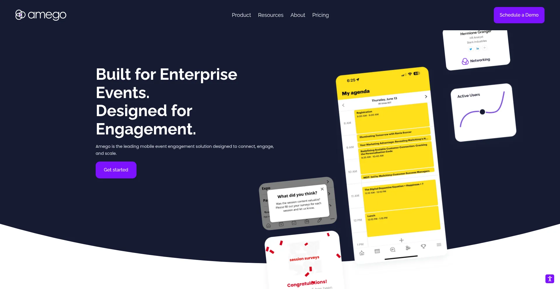 Website screenshot of Amego.com