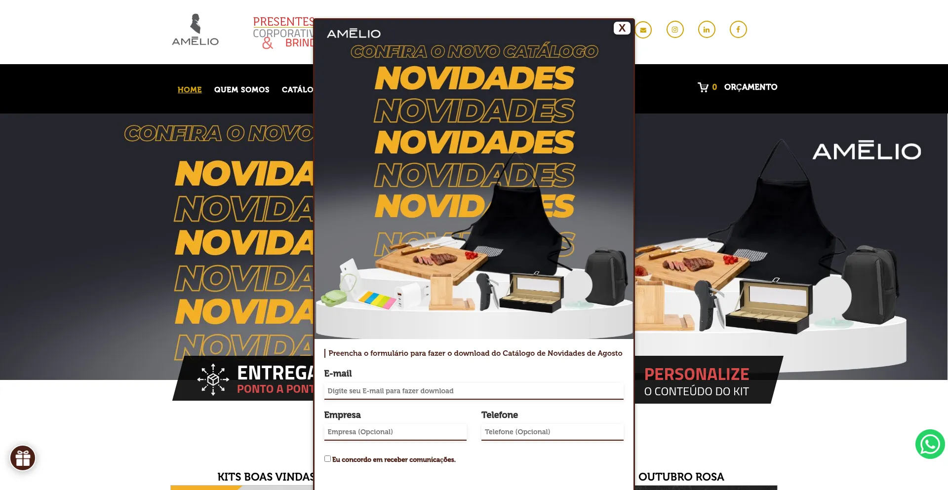 Website screenshot of Amelio.com.br