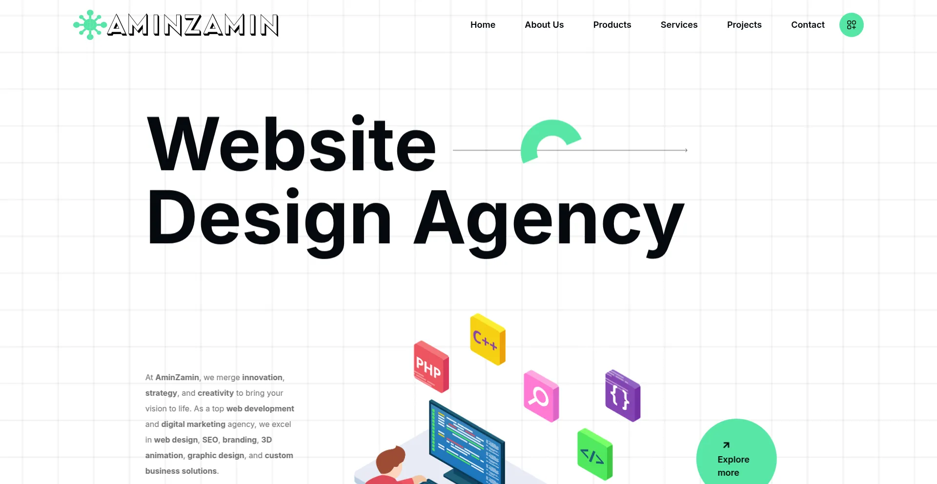 Website screenshot of Aminzamin.com