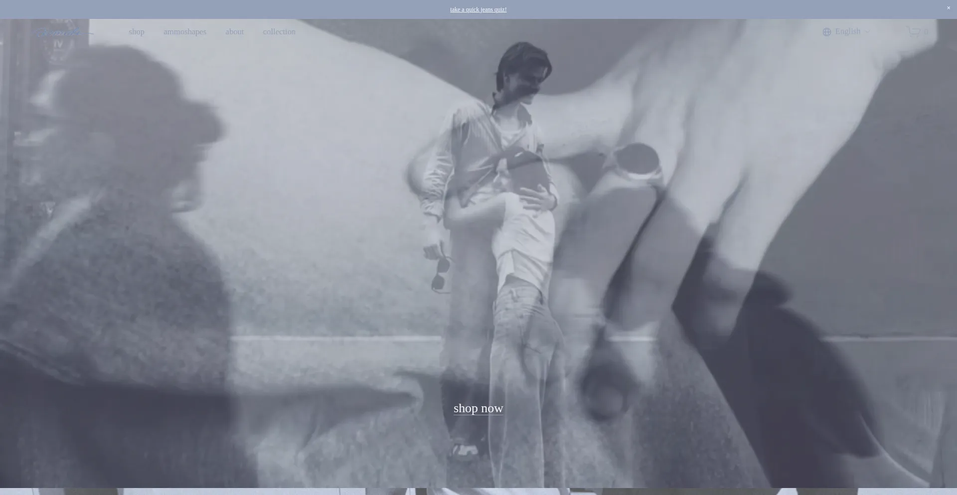 Website screenshot of Ammode.com