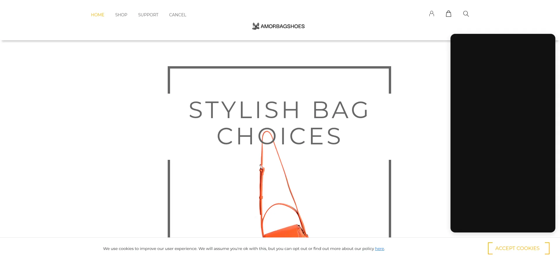 Website screenshot of Amorbagshoes.com