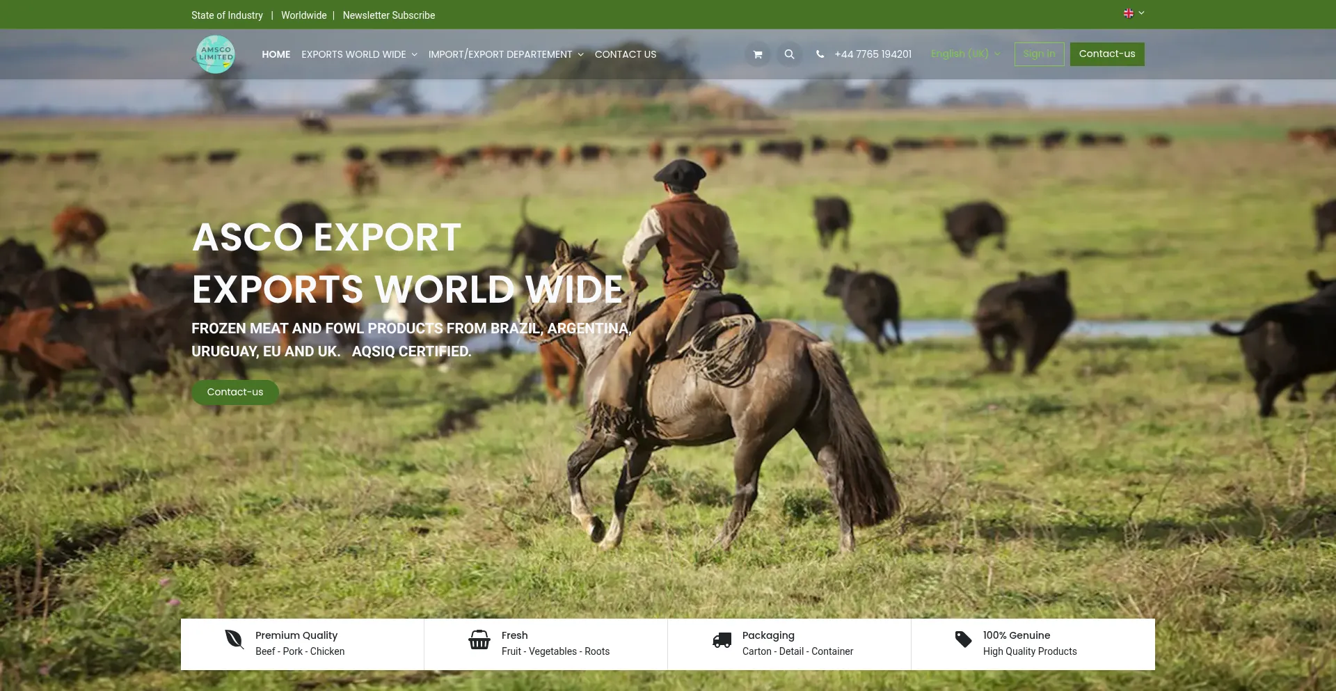 Website screenshot of Amscolimited.com