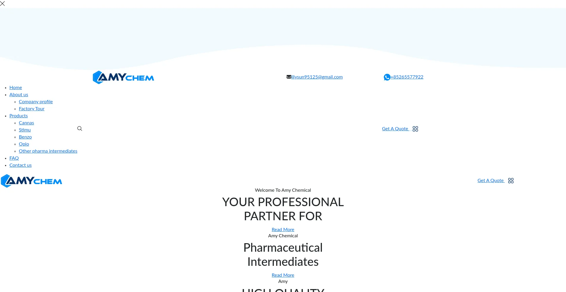 Website screenshot of Amychem.cn