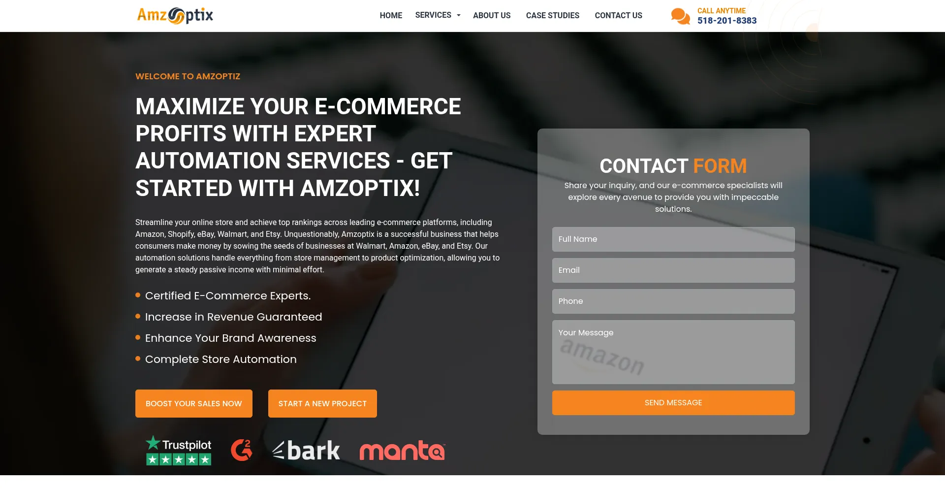Website screenshot of Amzoptix.com