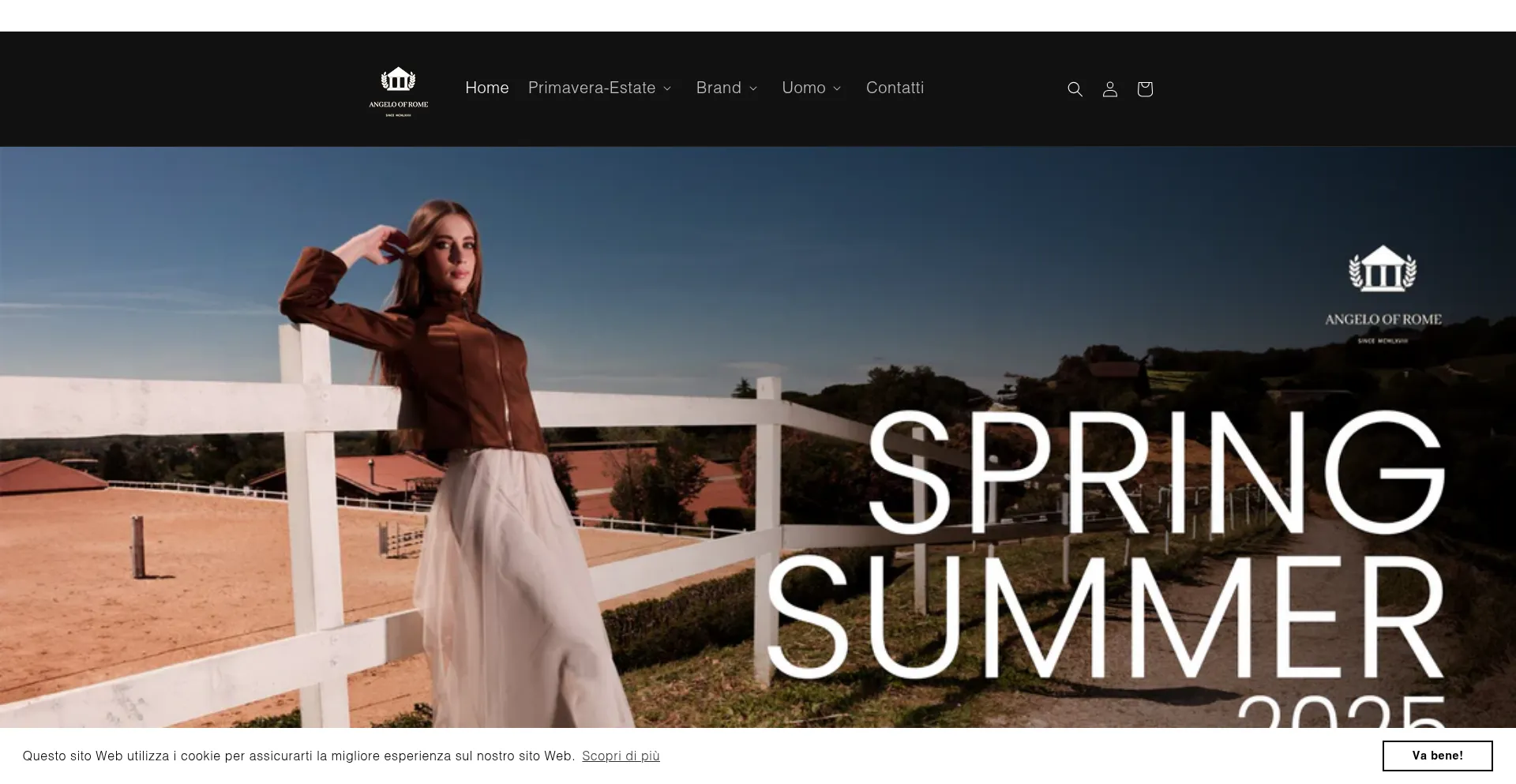 Website screenshot of Angeloofrome.com