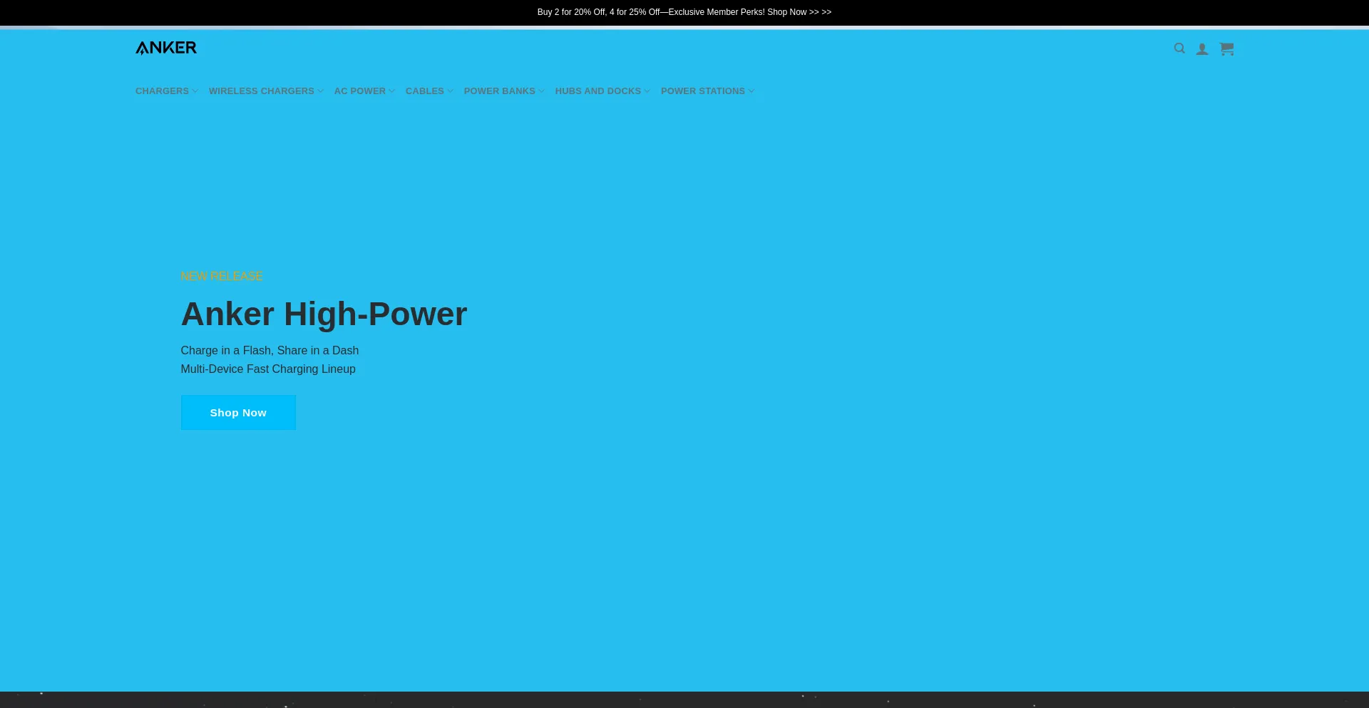 Website screenshot of Ankersupply.com