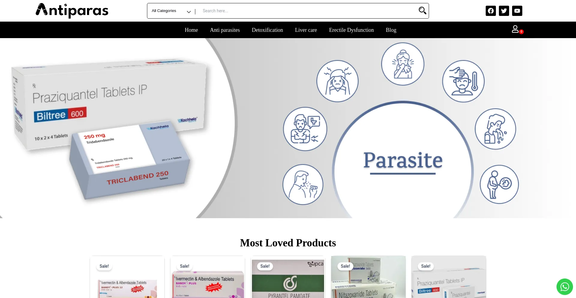 Website screenshot of Antiparas.com