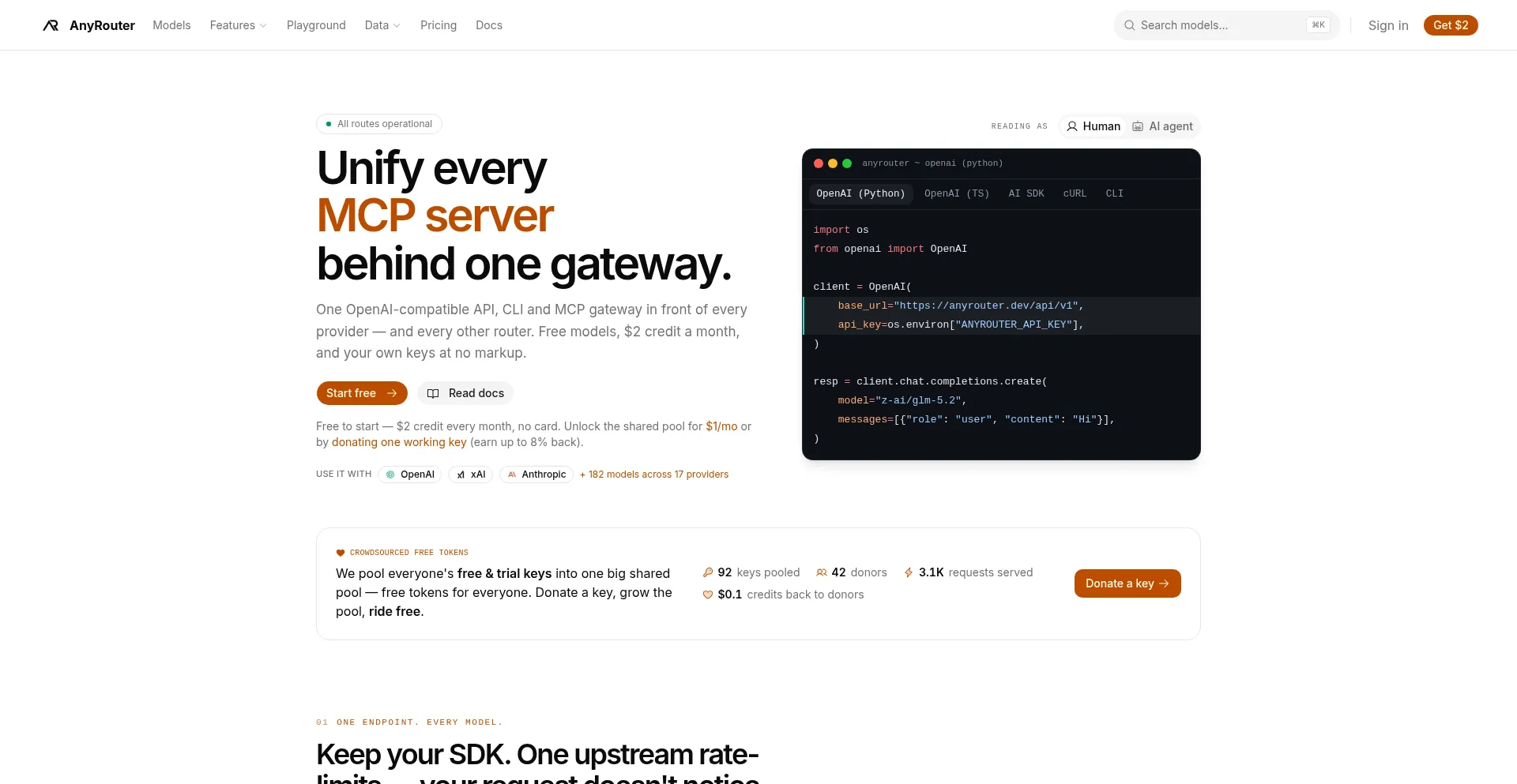 Anyrouter.dev
