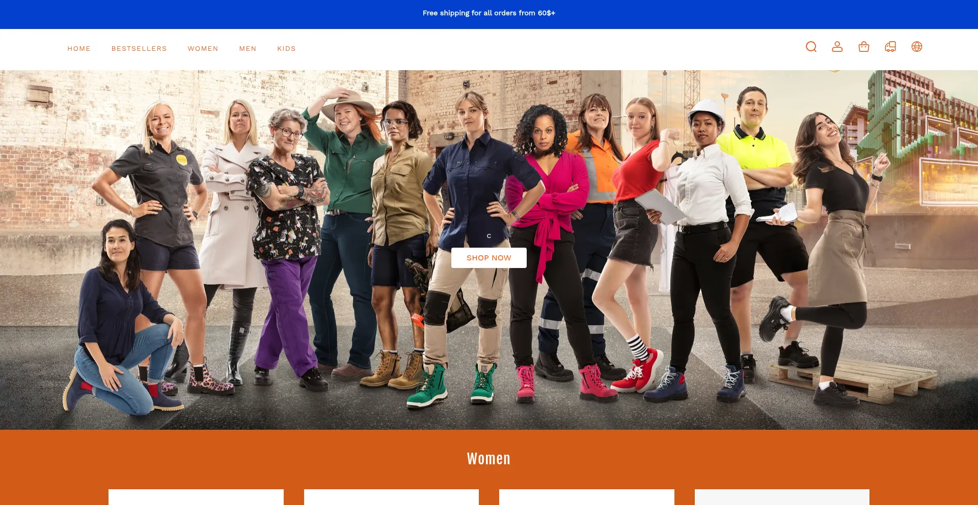 Website screenshot of Appledodo.shop