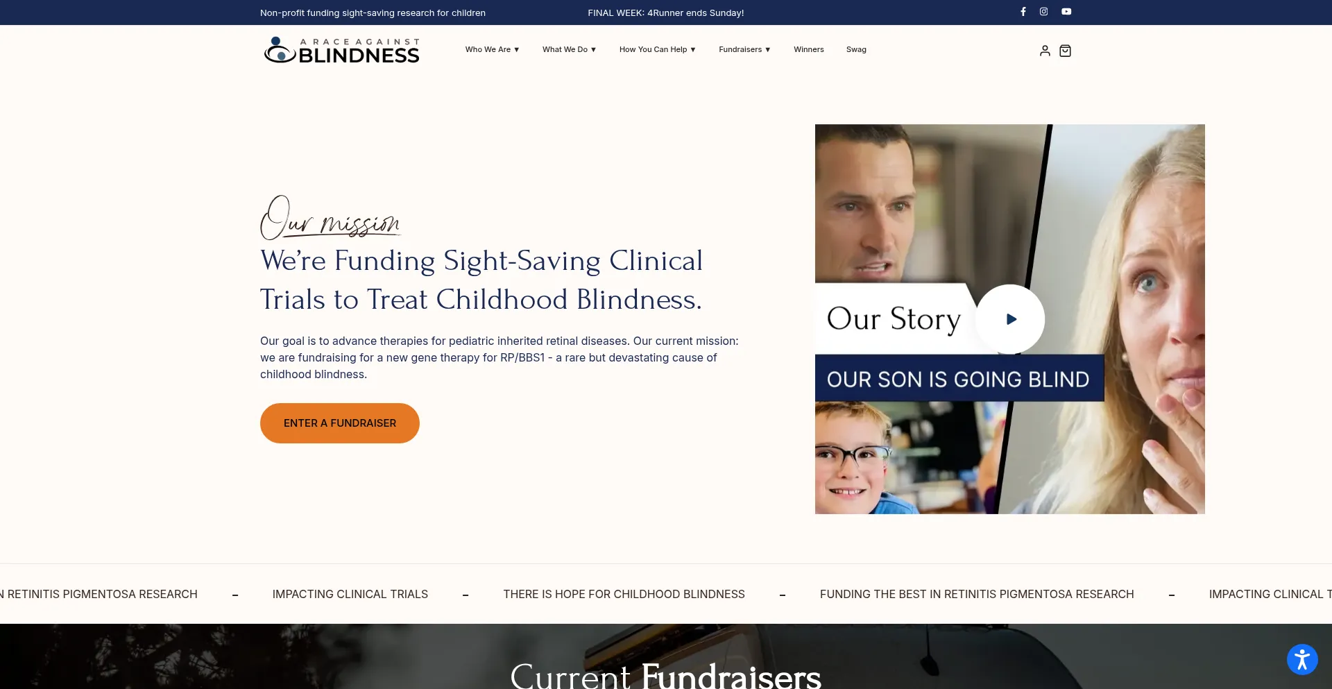 Website screenshot of Araceagainstblindness.org