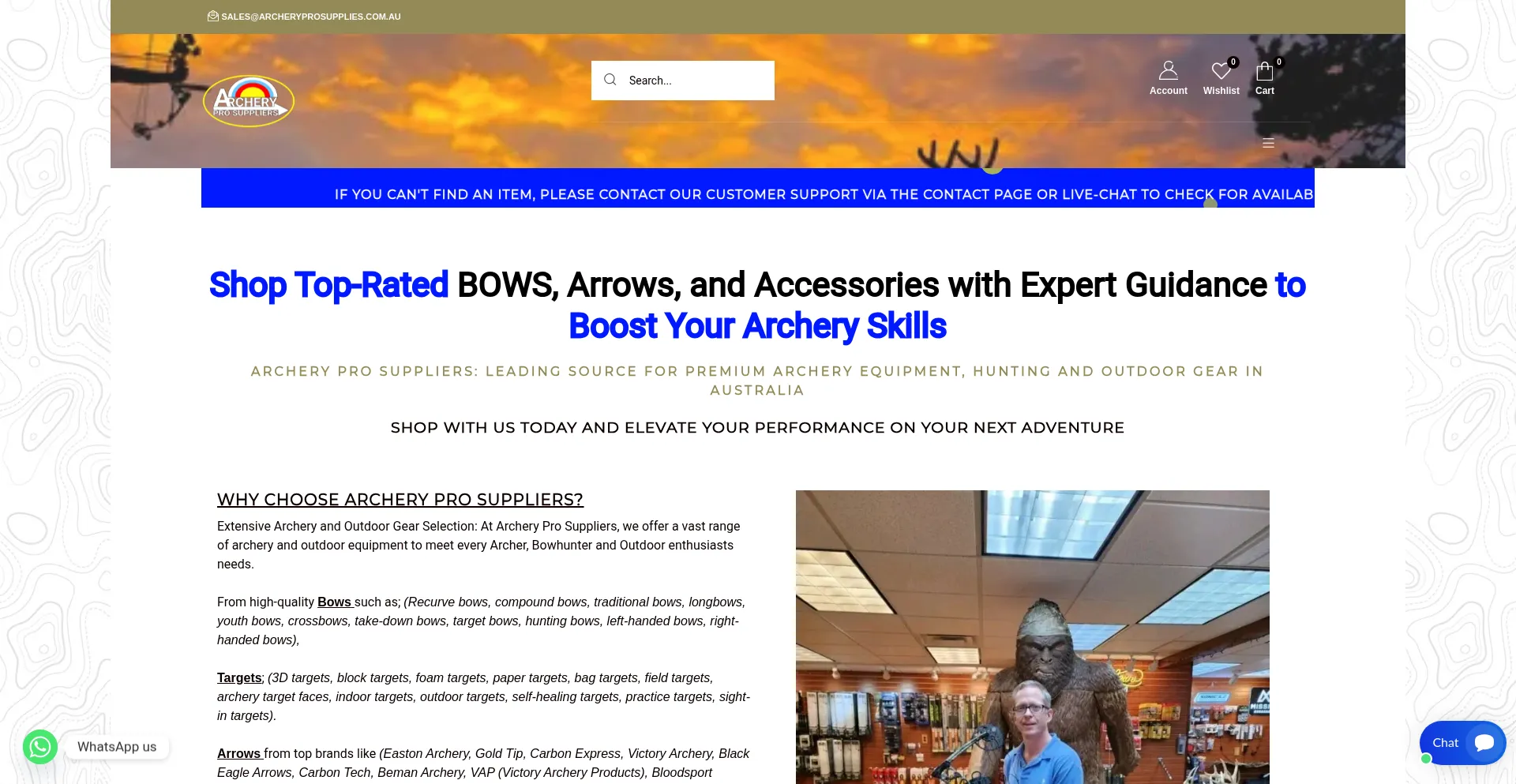 Website screenshot of Archeryprosupplies.com.au