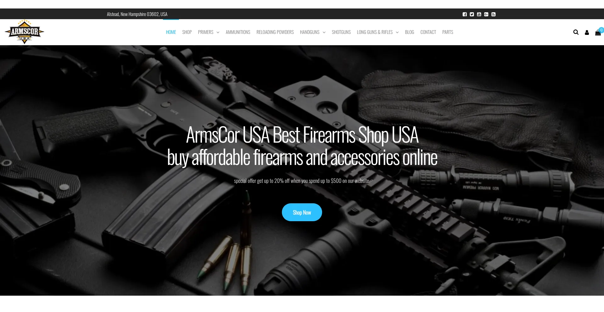 Website screenshot of Armscor.store