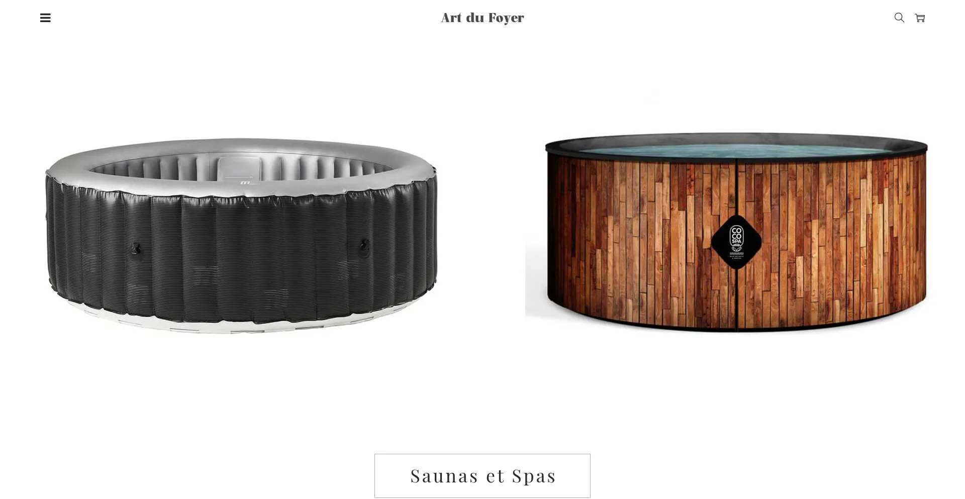 Website screenshot of Artdufoyer.shop