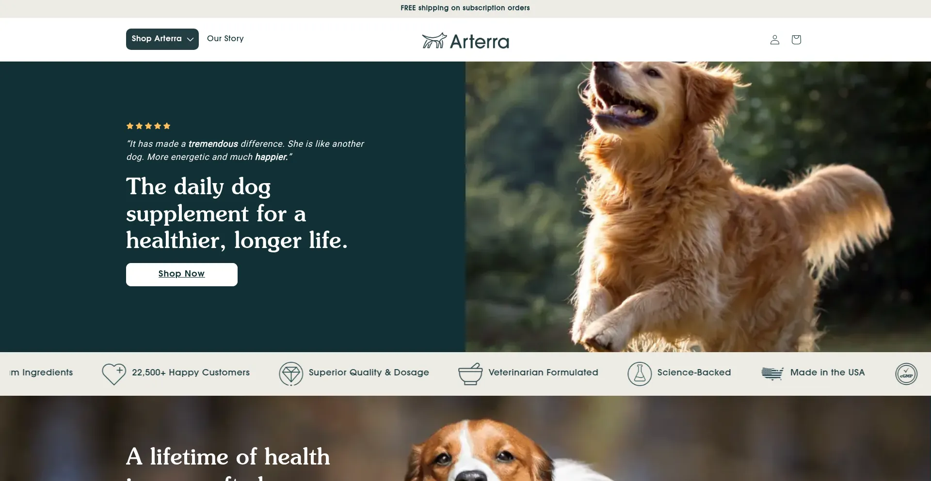 ¿És Seguro y Confiable Arterrapet.com?