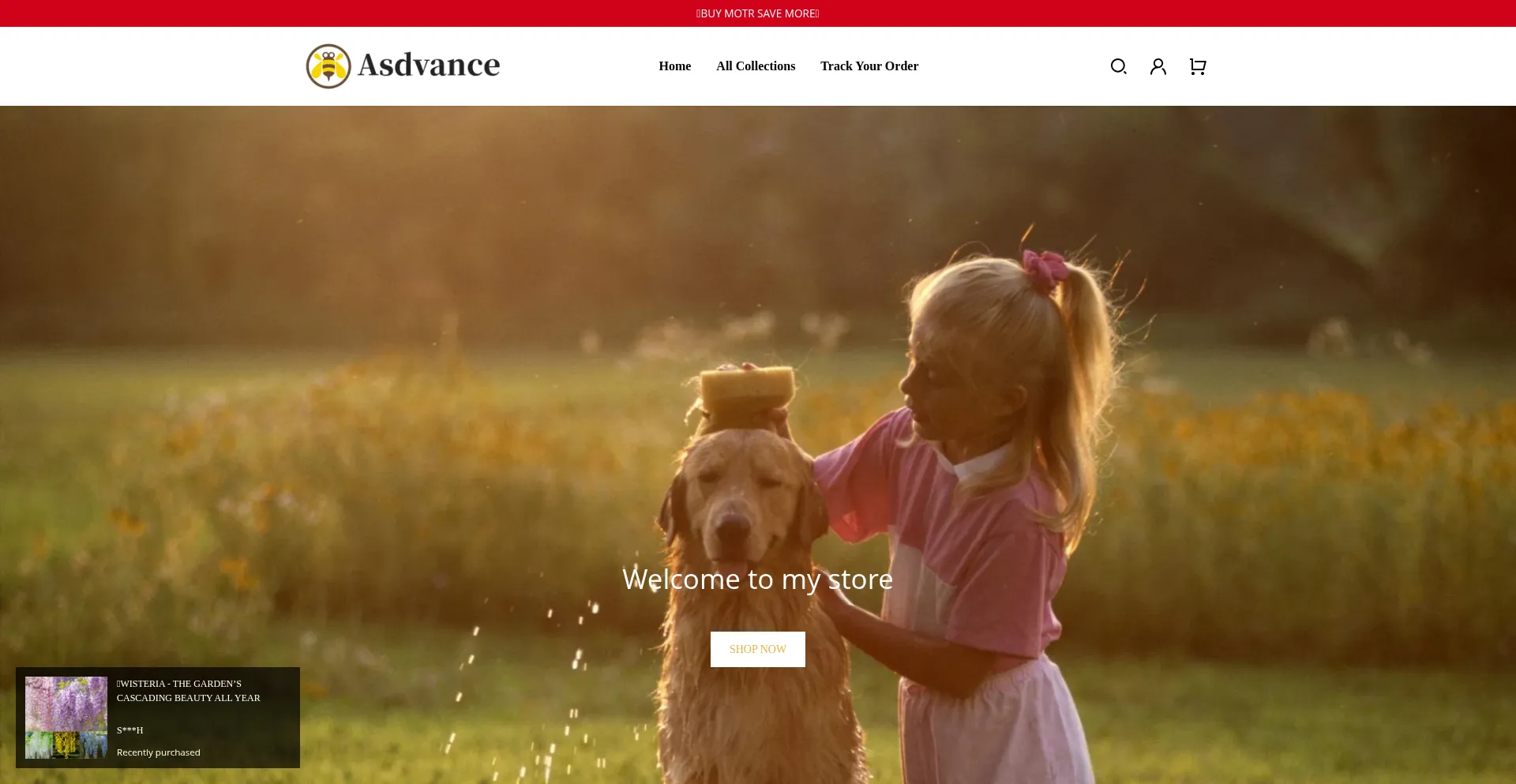 ¿És Seguro y Confiable Asdvance.com?