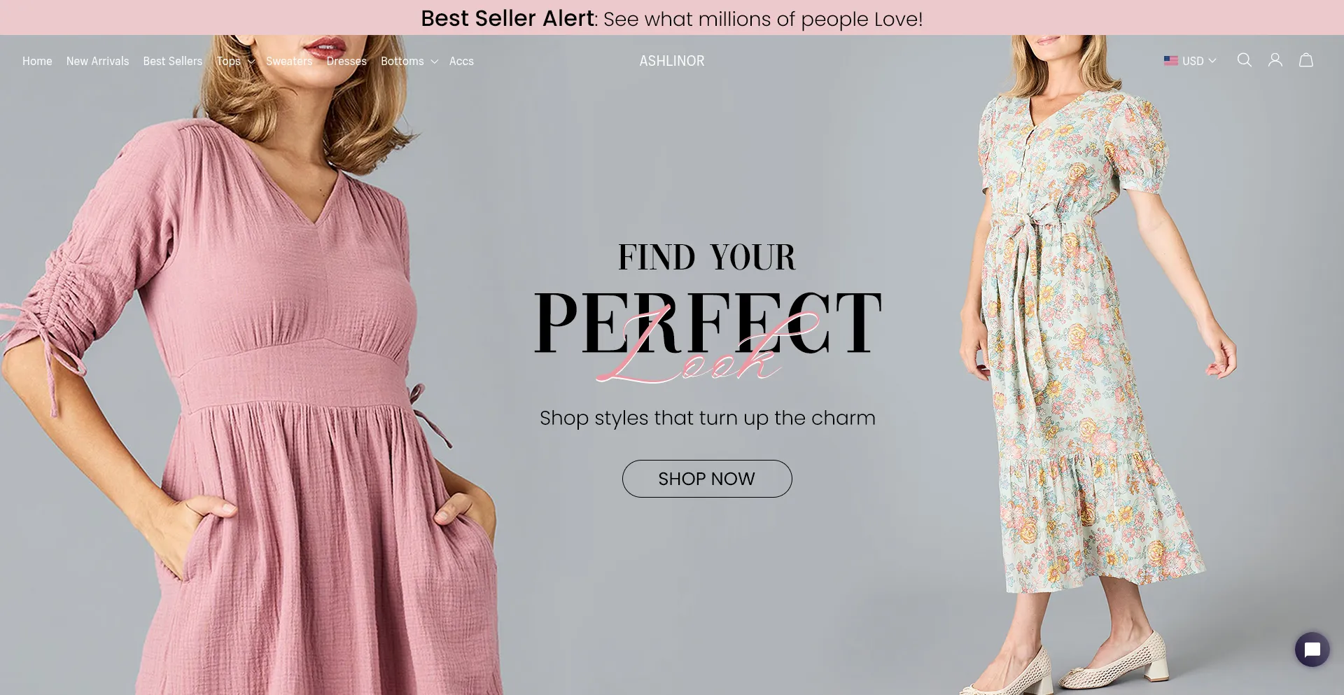 Website screenshot of Ashlinor.com