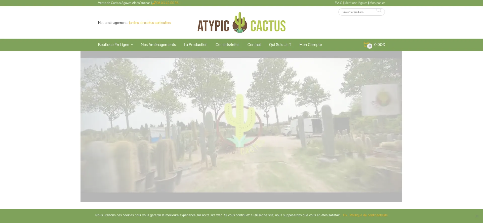 Atypic-cactus.com