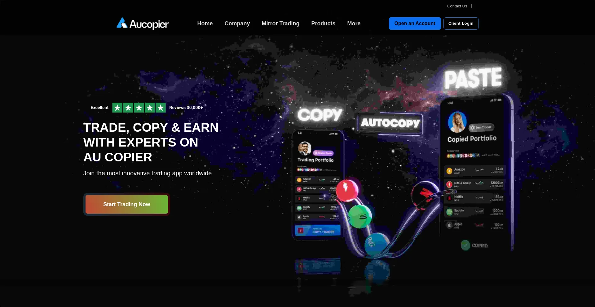 Website screenshot of Aucopier.com