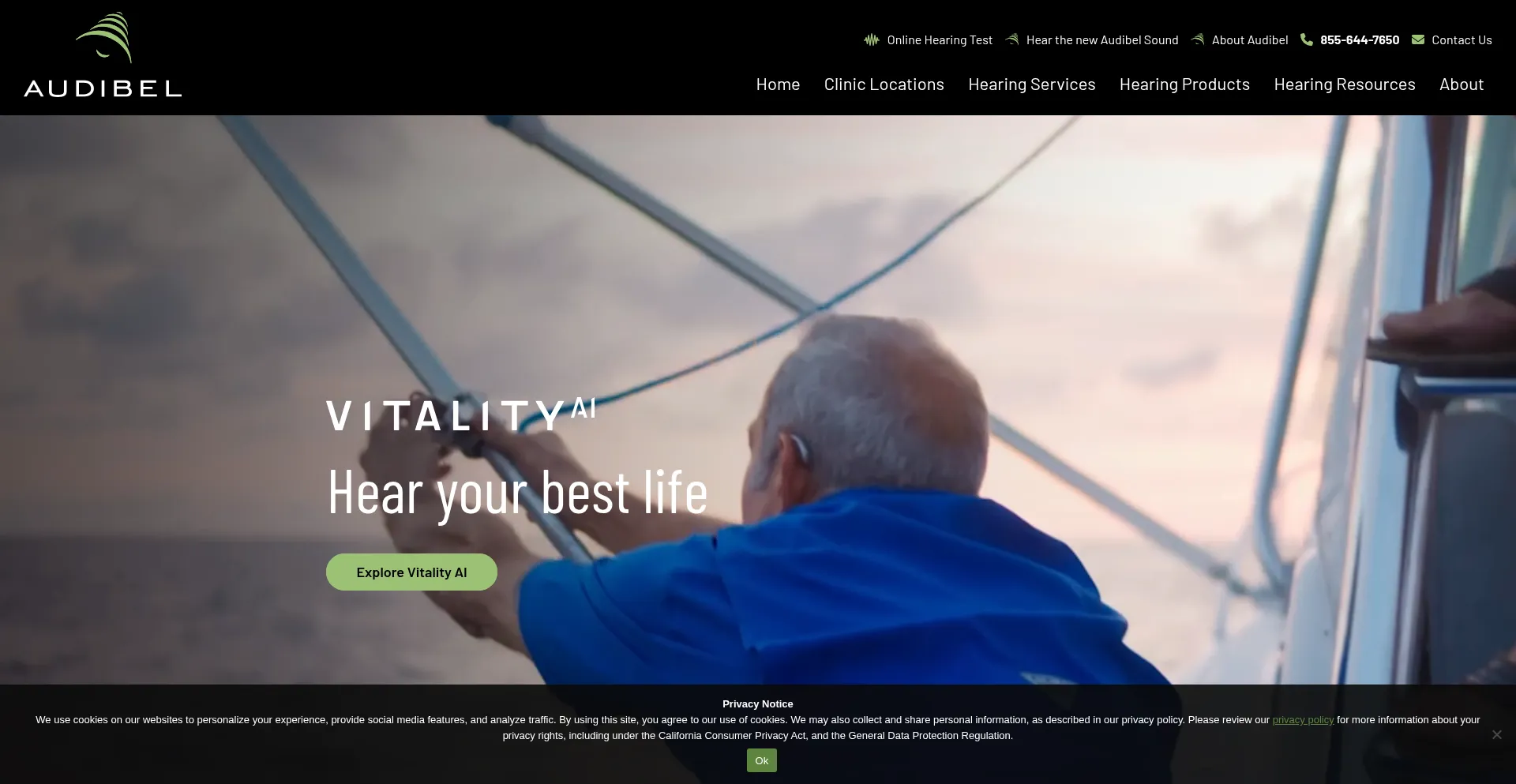 Audibel.com Screenshot