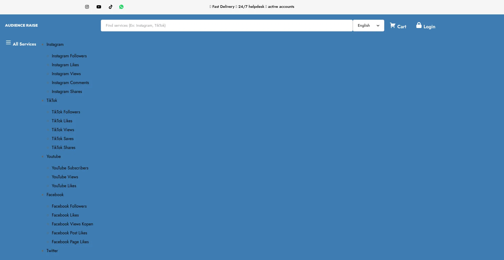 Website screenshot of Audienceraise.com