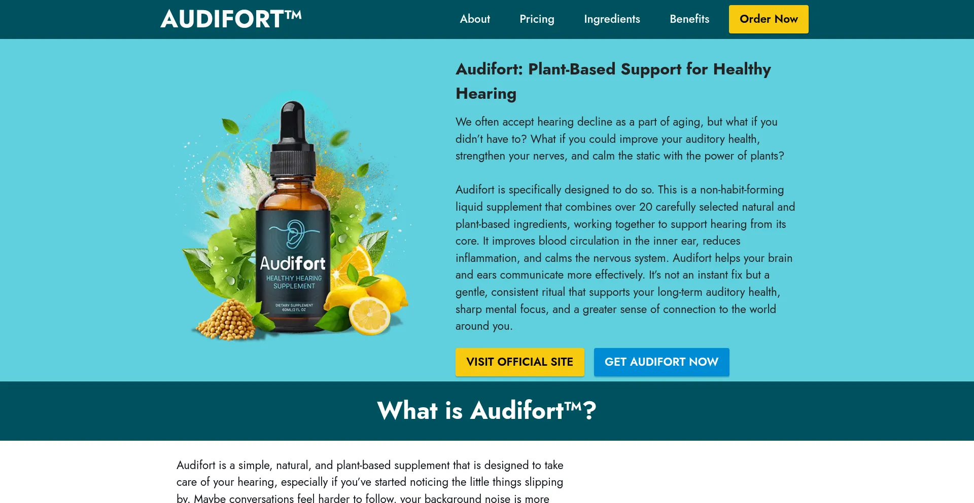 ¿És Seguro y Confiable Audifortt.com?