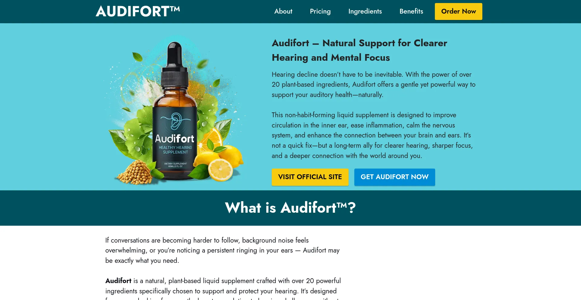 Website screenshot of Audifourt.com