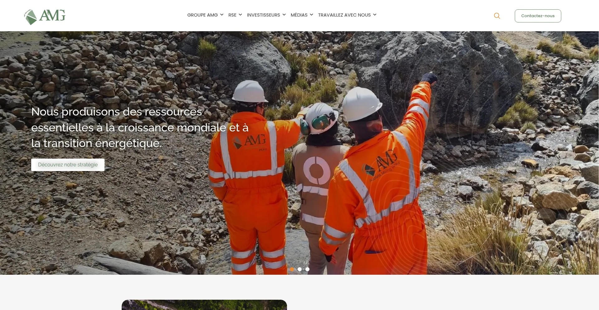 Auplatamininggroup.com