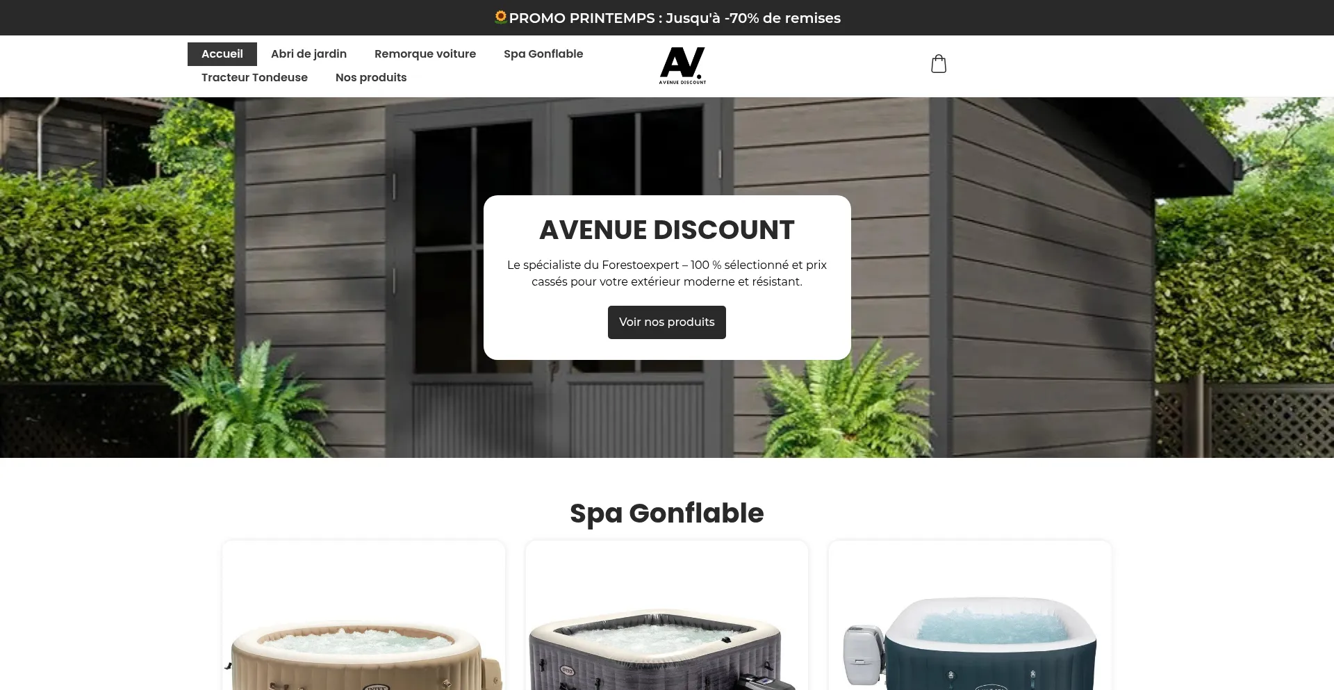Website screenshot of Avenuediscount-fr.com