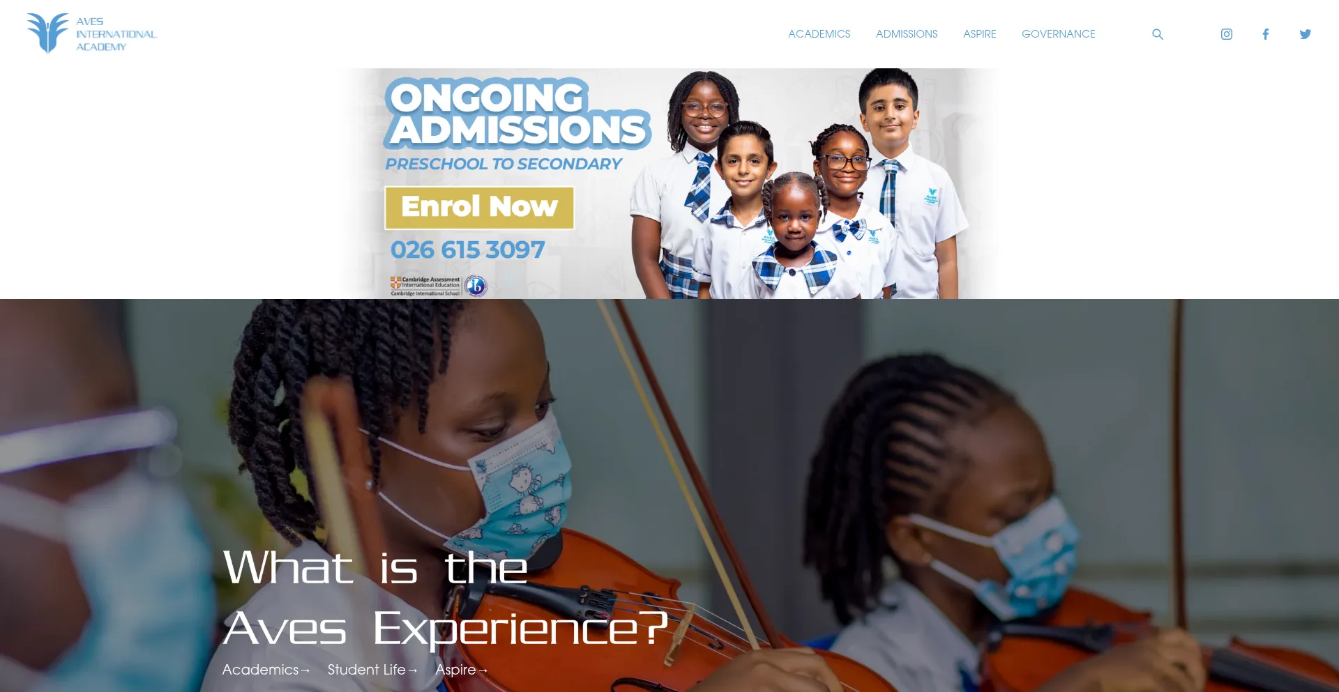 Website screenshot of Avesacademy.com