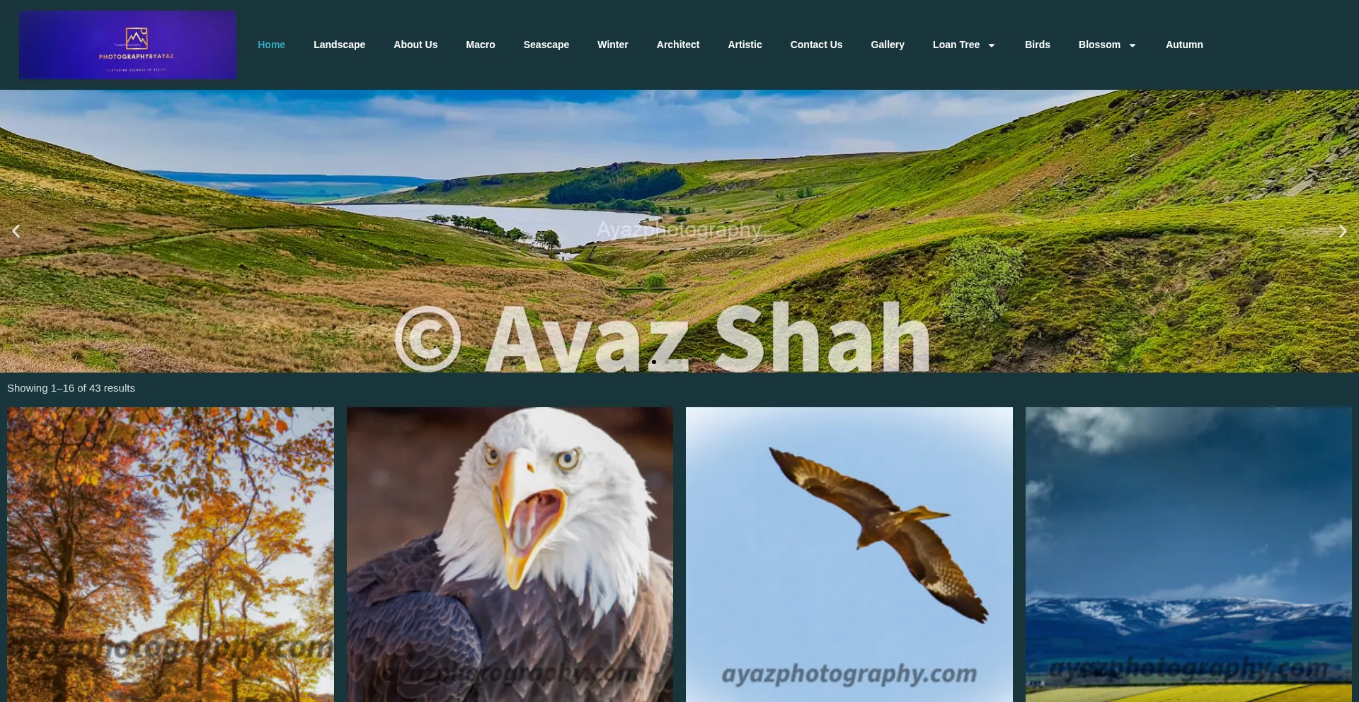 Website screenshot of Ayazphotography.com