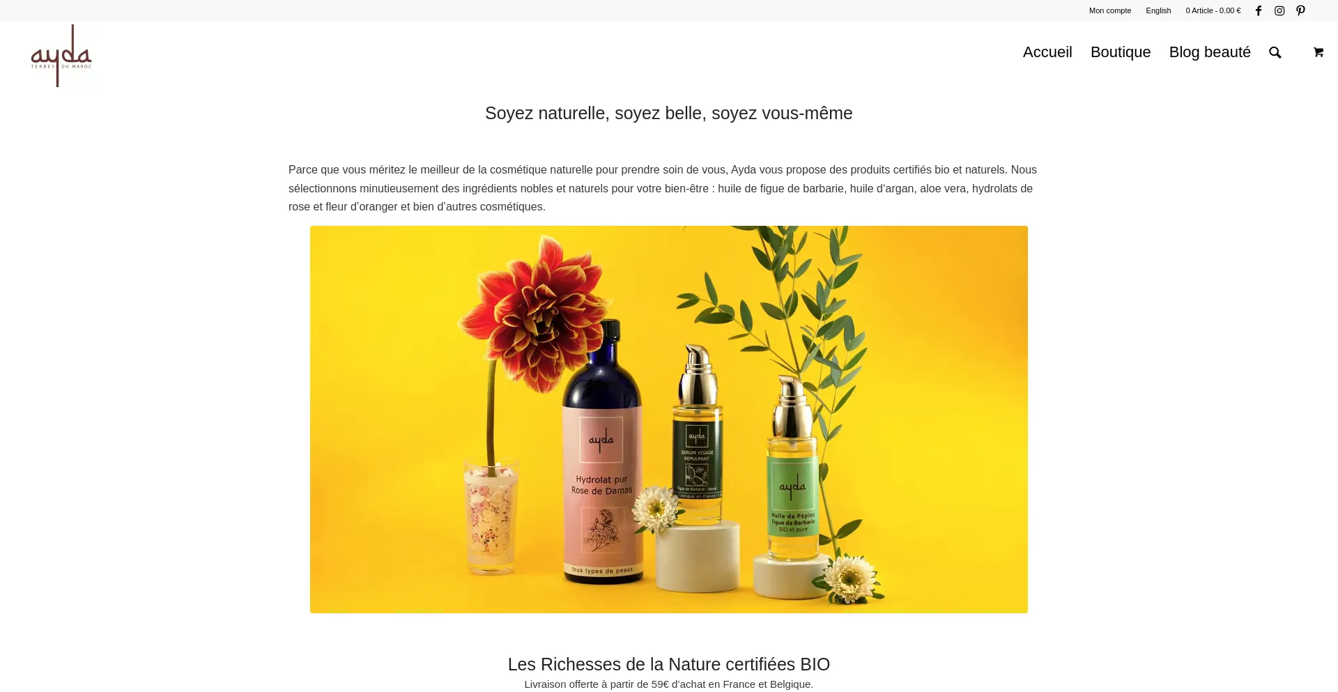 Website screenshot of Aydacosmetics.com