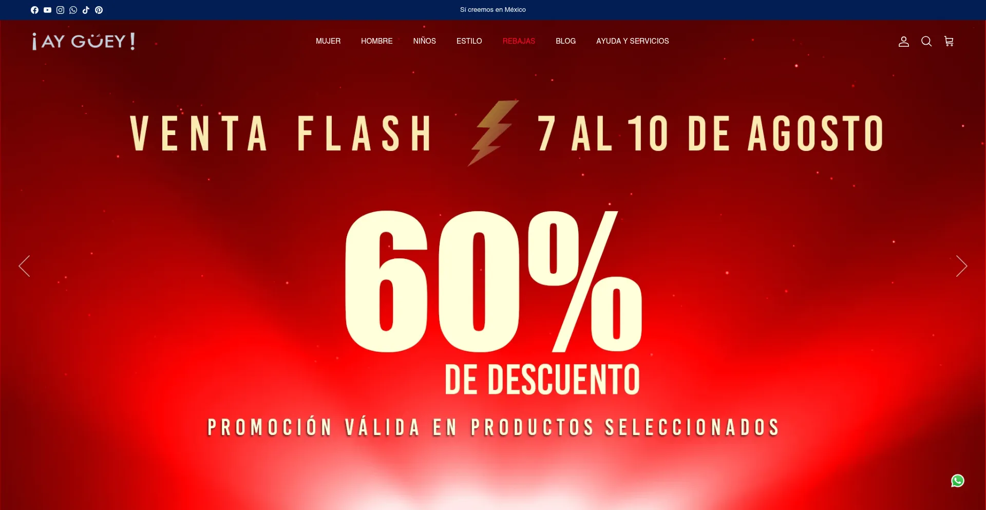 Website screenshot of Ayguey.com