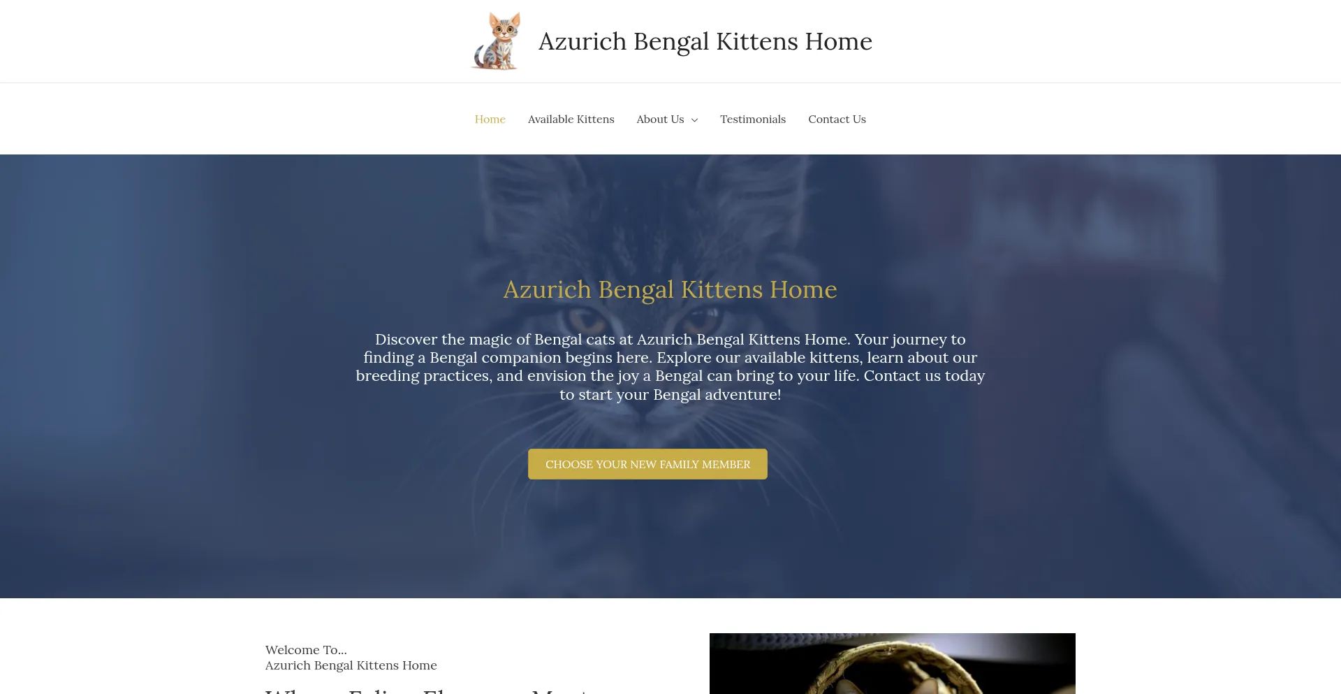 Azurichbengalcats.com