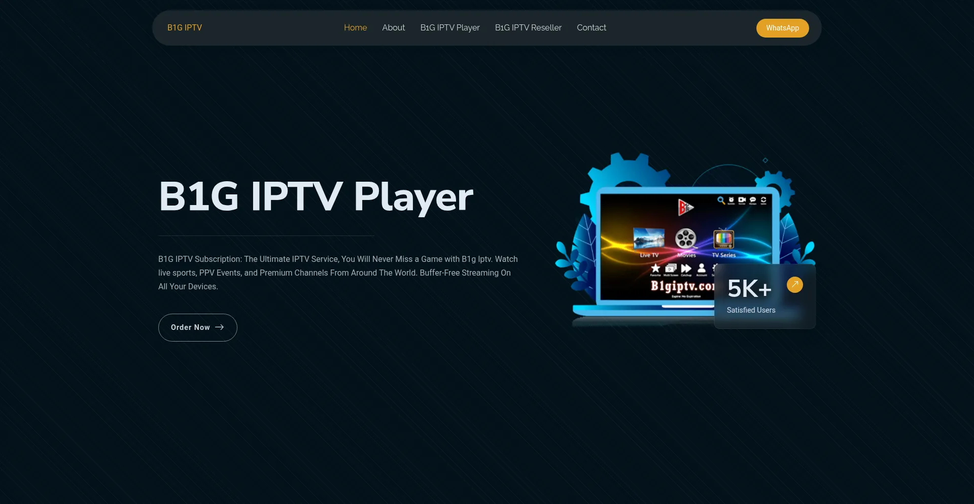 B1giptv.com