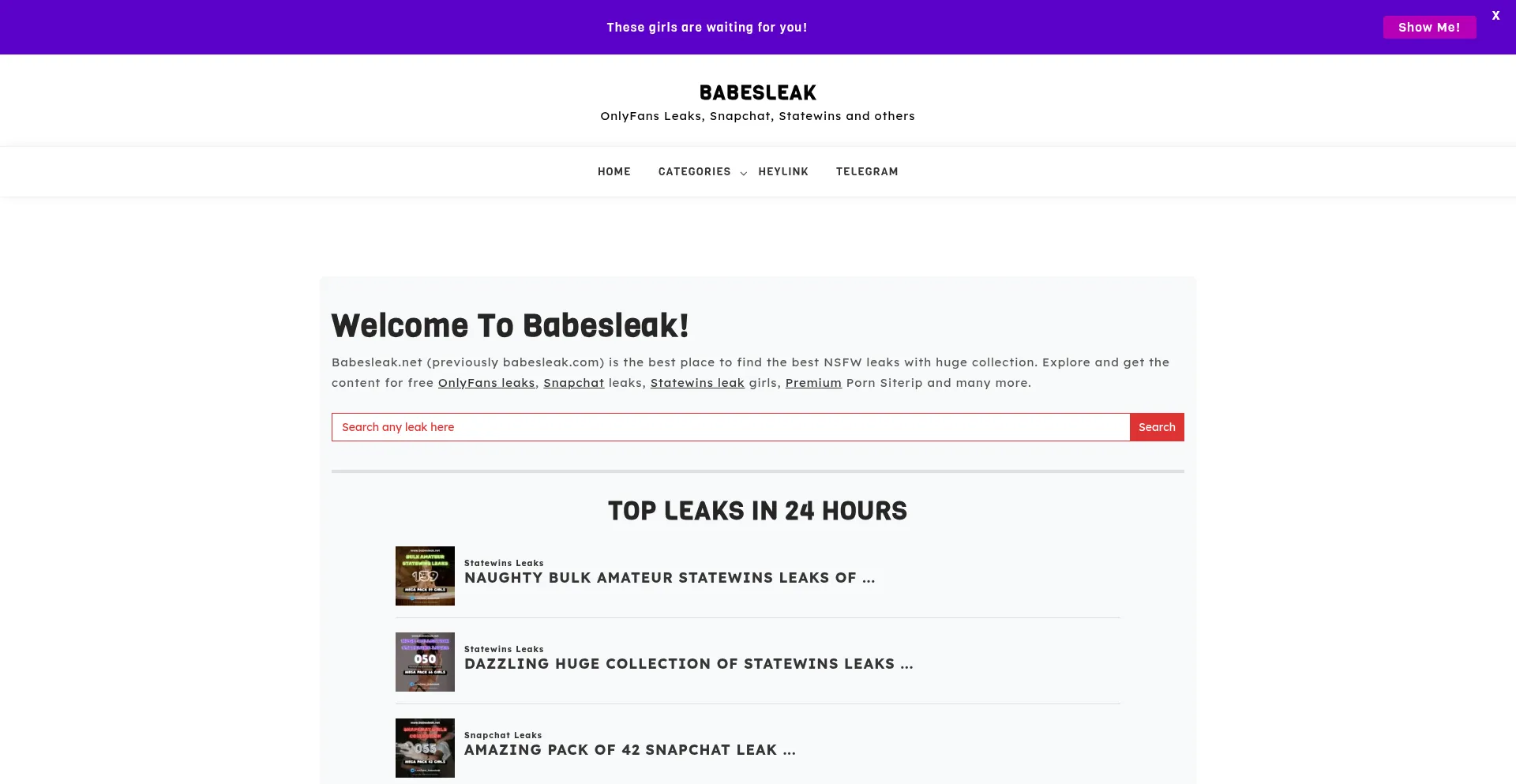 ¿És Seguro y Confiable Babesleak.net?