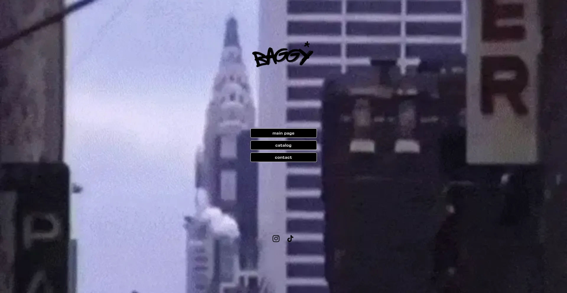 Website screenshot of Baggyclothing.us