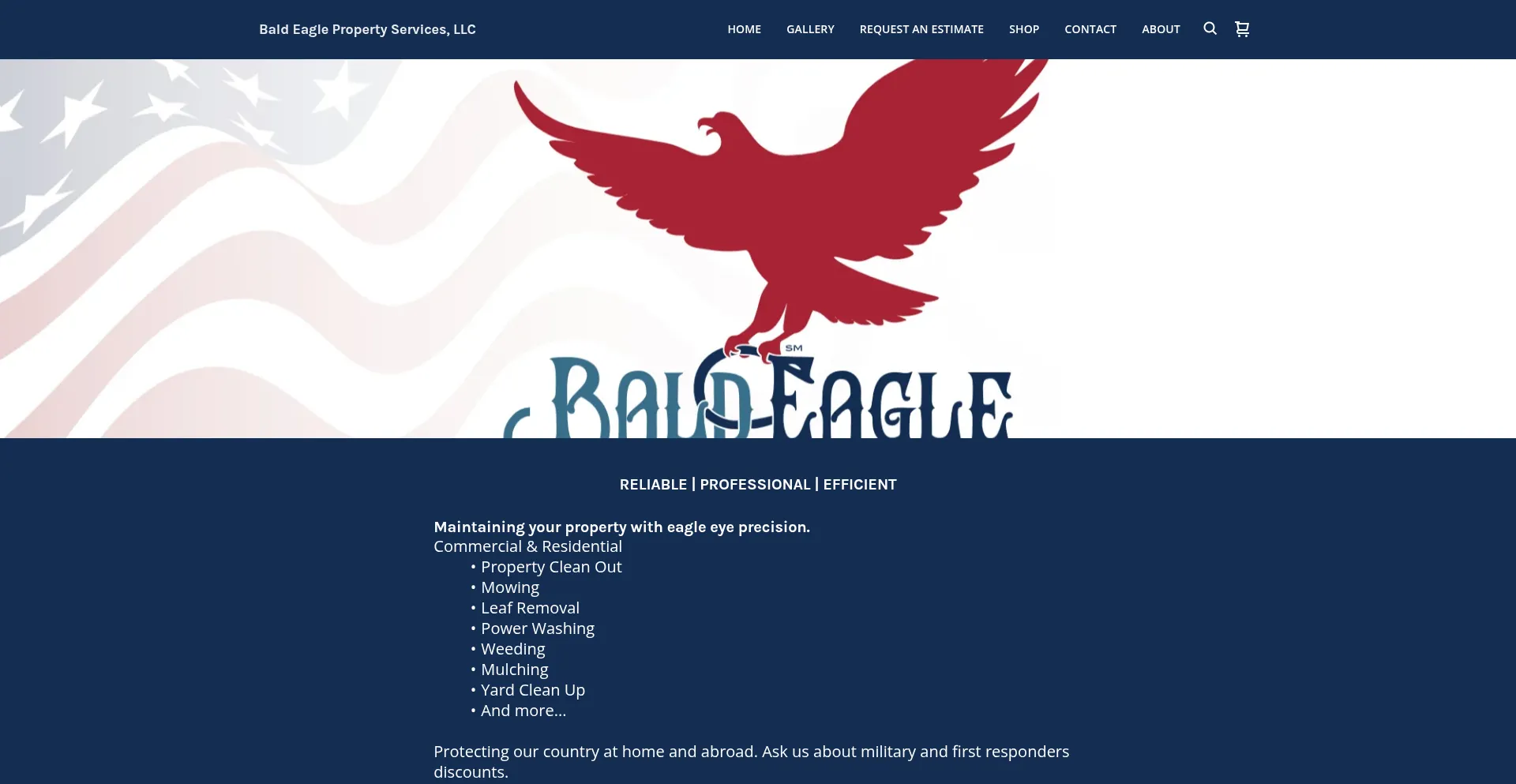 Baldeagleps.com