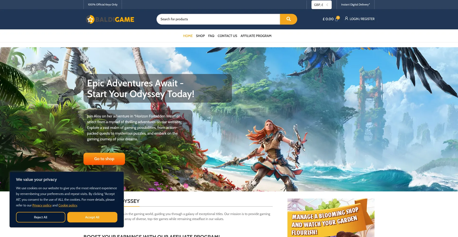 Website screenshot of Baldigame.com