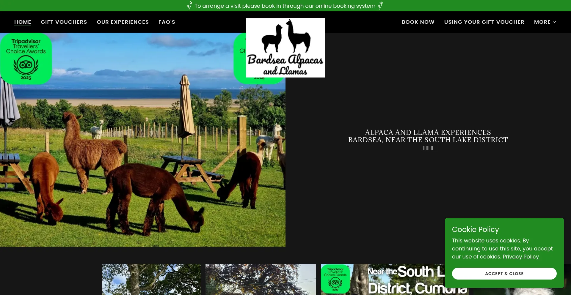 ¿És Seguro y Confiable Bardsea-alpacas.co.uk?