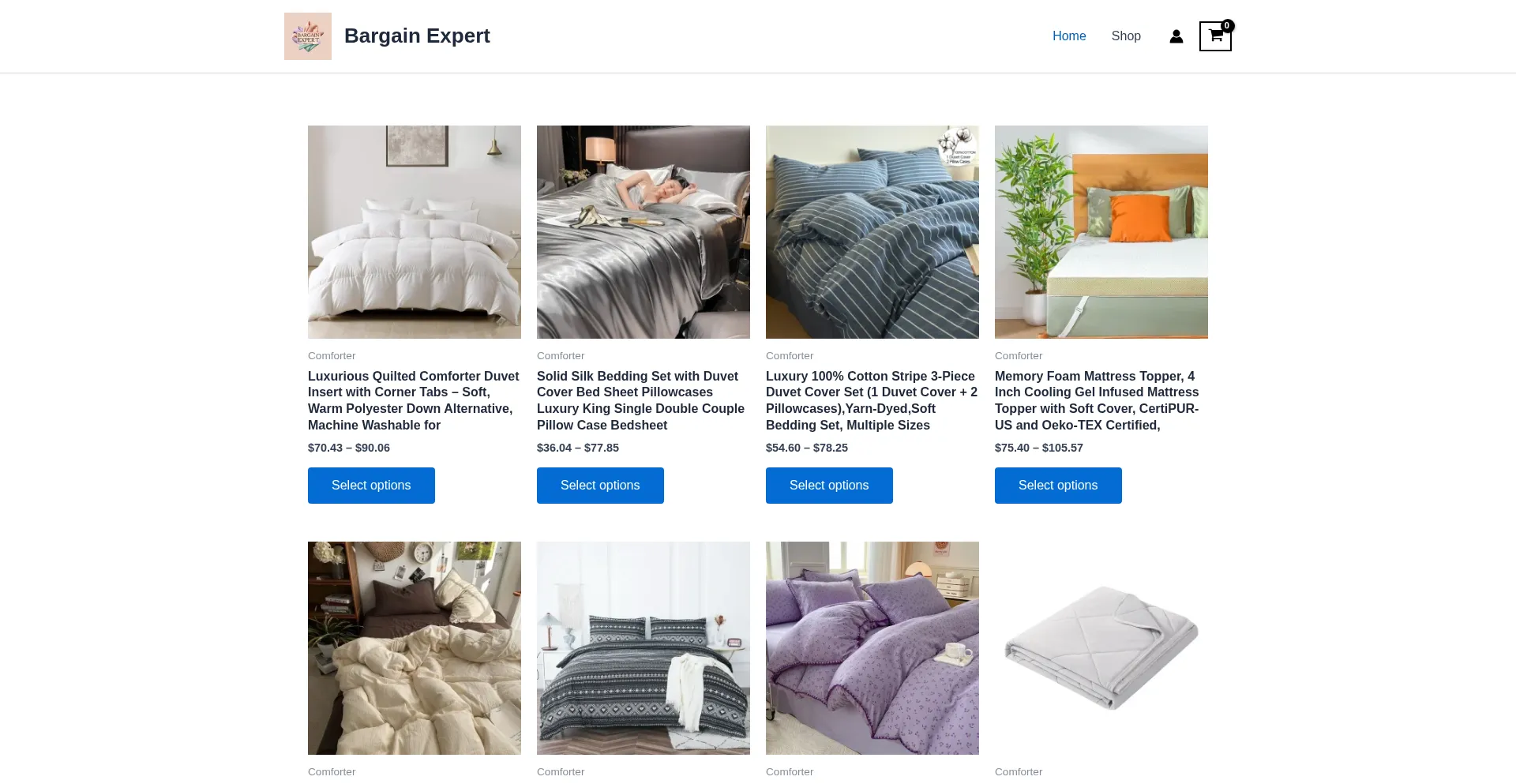 Website screenshot of Bargainexpert.site