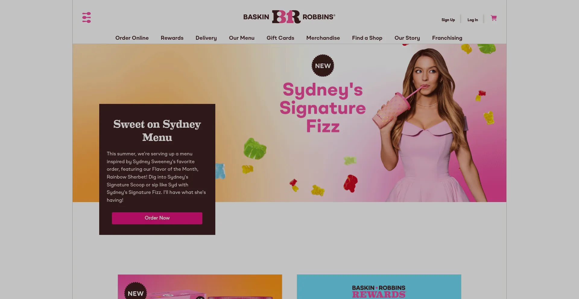 Website screenshot of Baskinrobbins.com