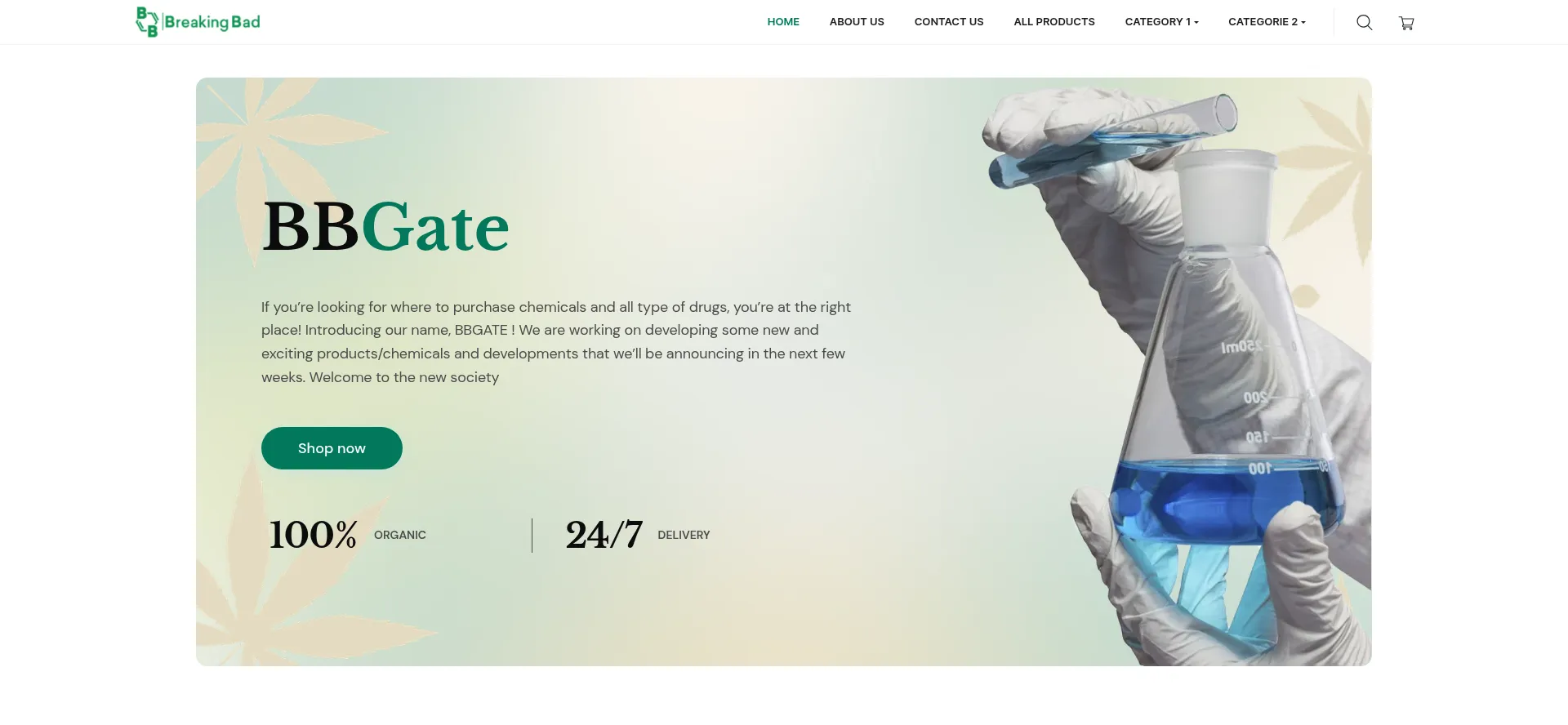 Website screenshot of Bbgate.org