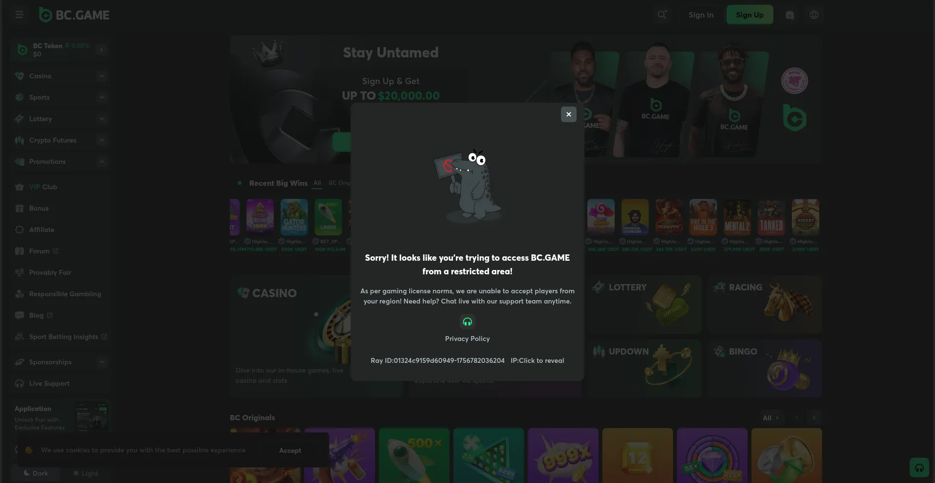Website screenshot of Bcvn1.com