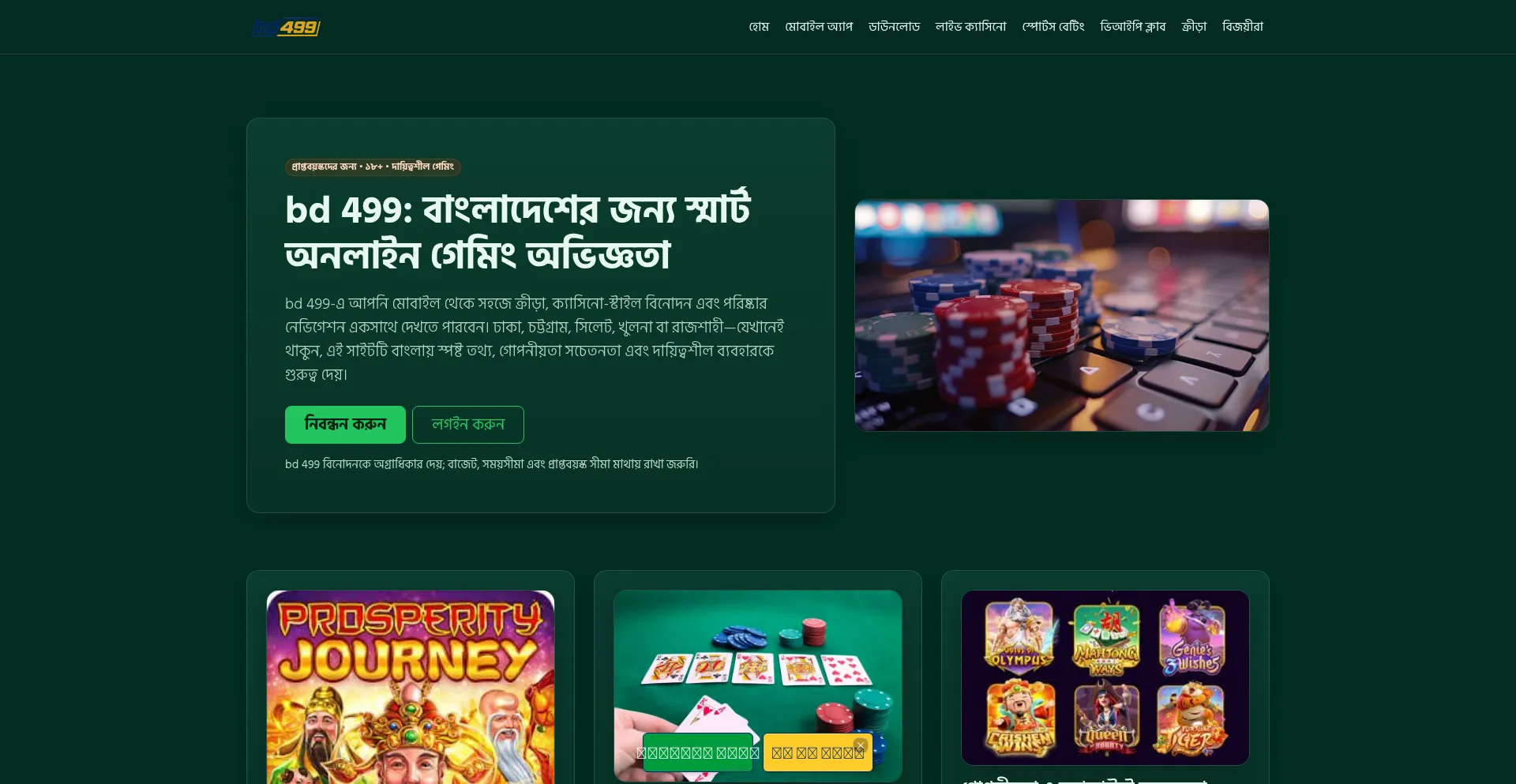 Bd499.net