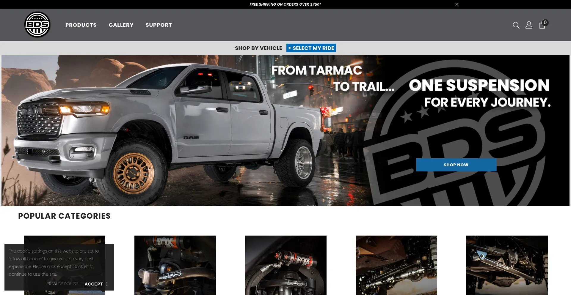 Website screenshot of Bds-suspension.com