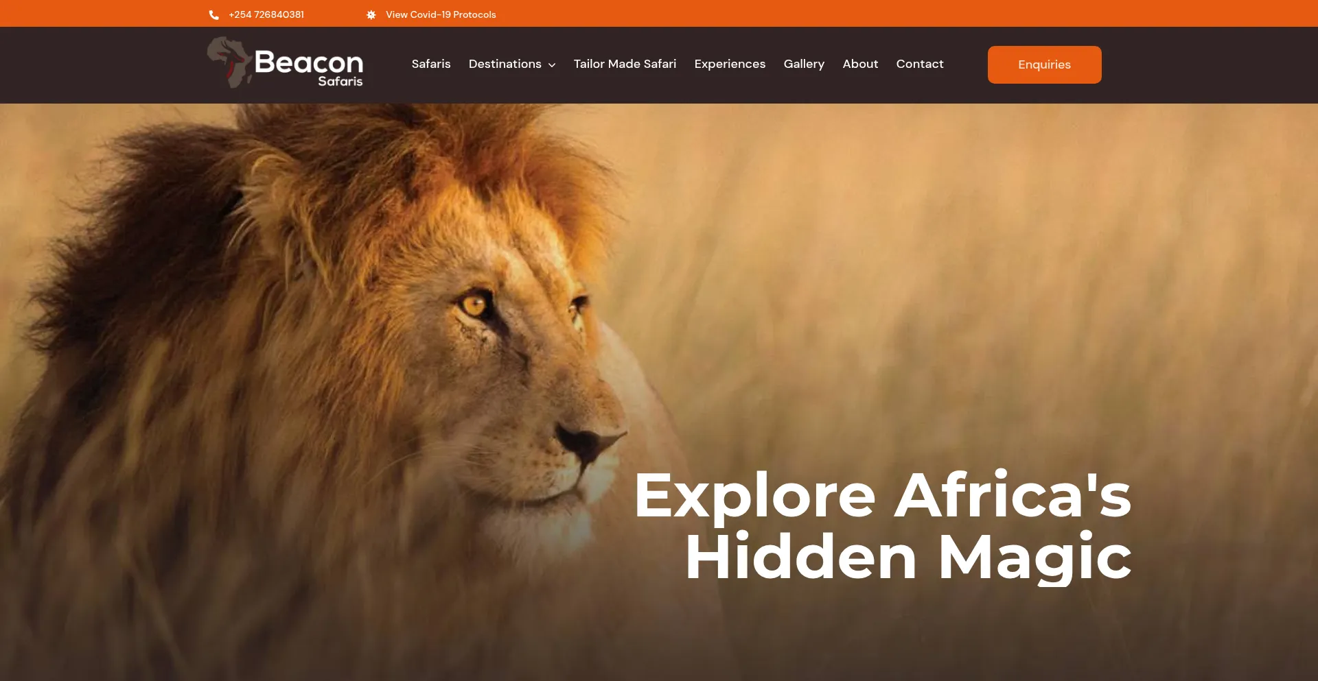 ¿És Seguro y Confiable Beaconsafaris.com?