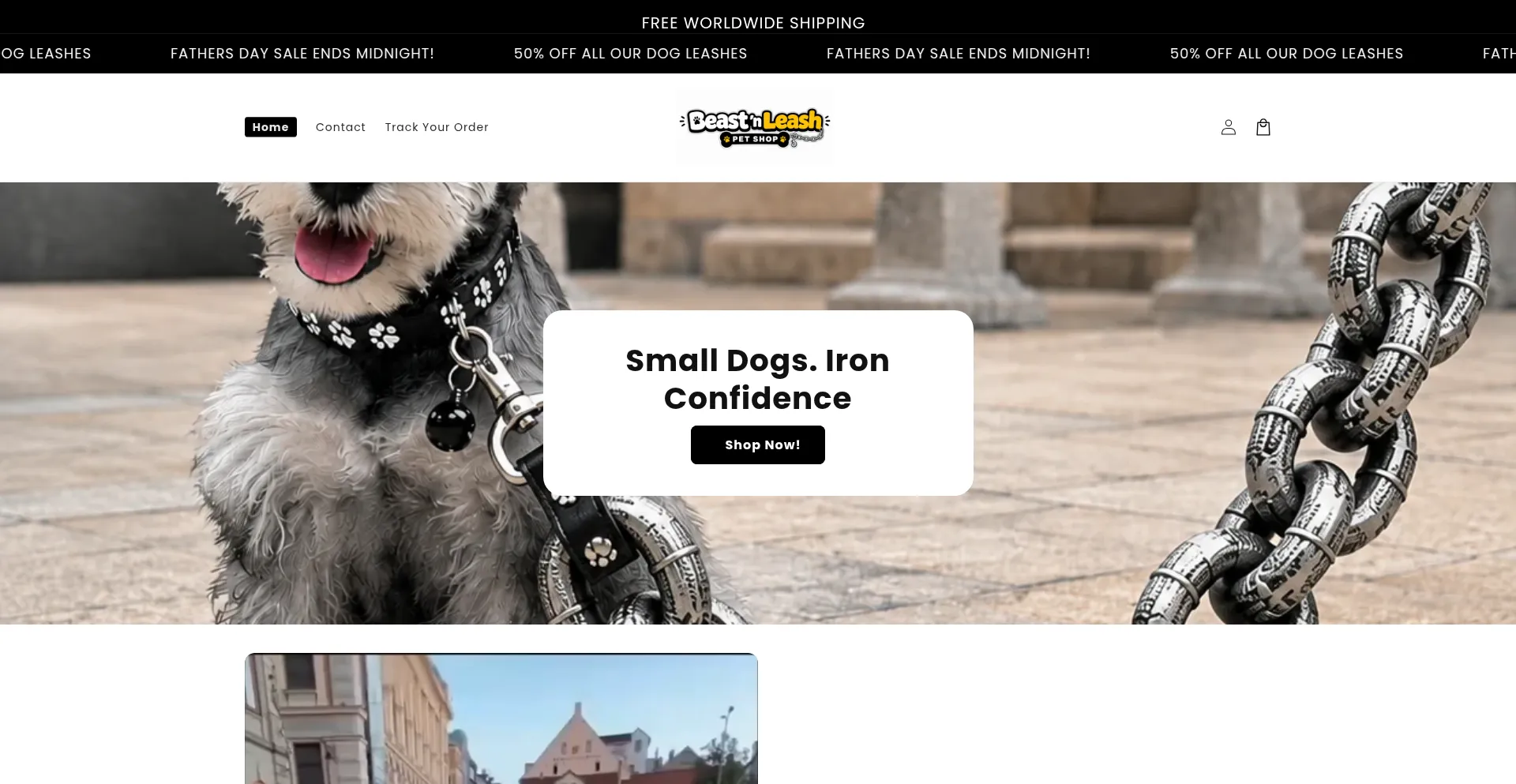 Beastnleash.com