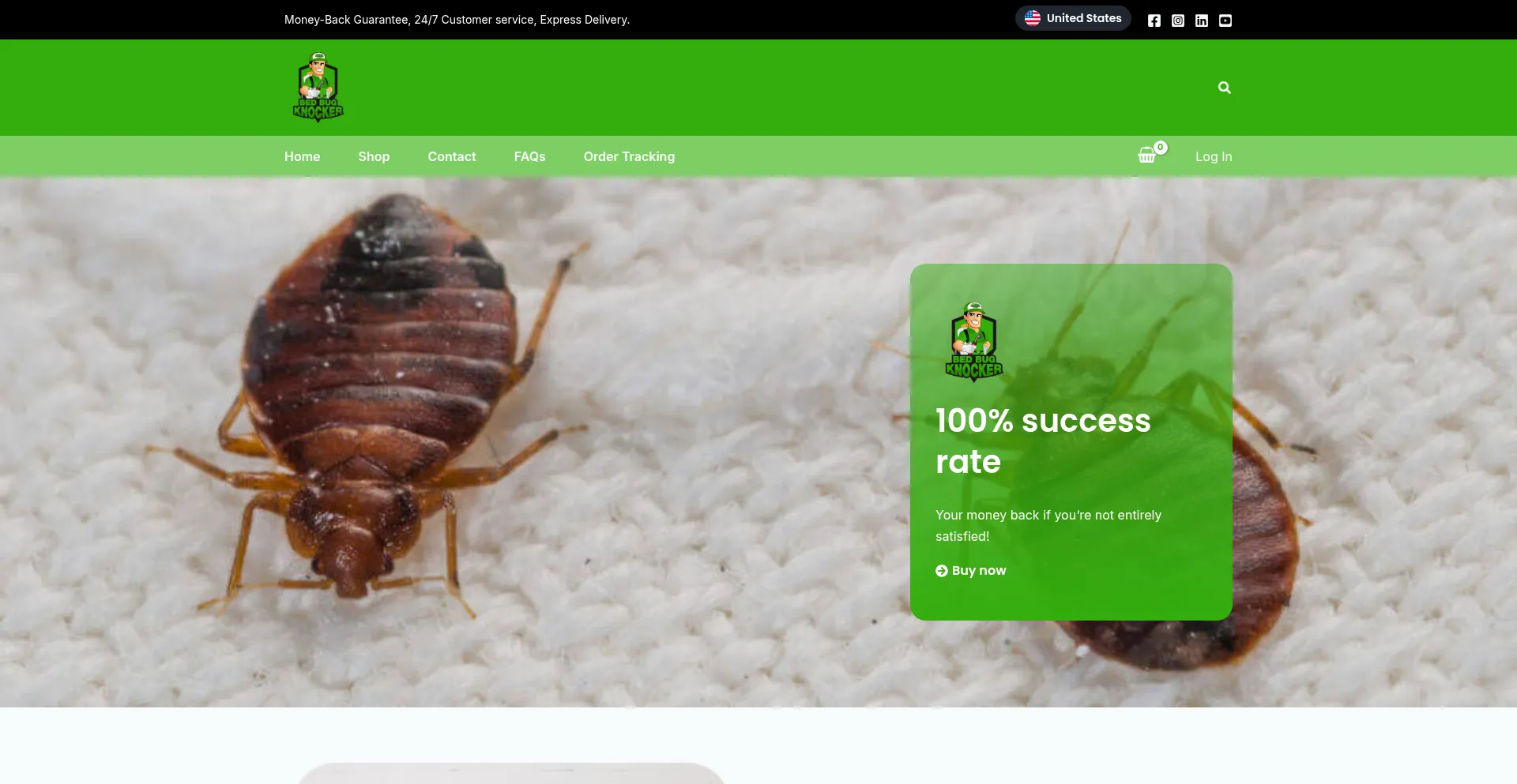 Bedbugknocker.com